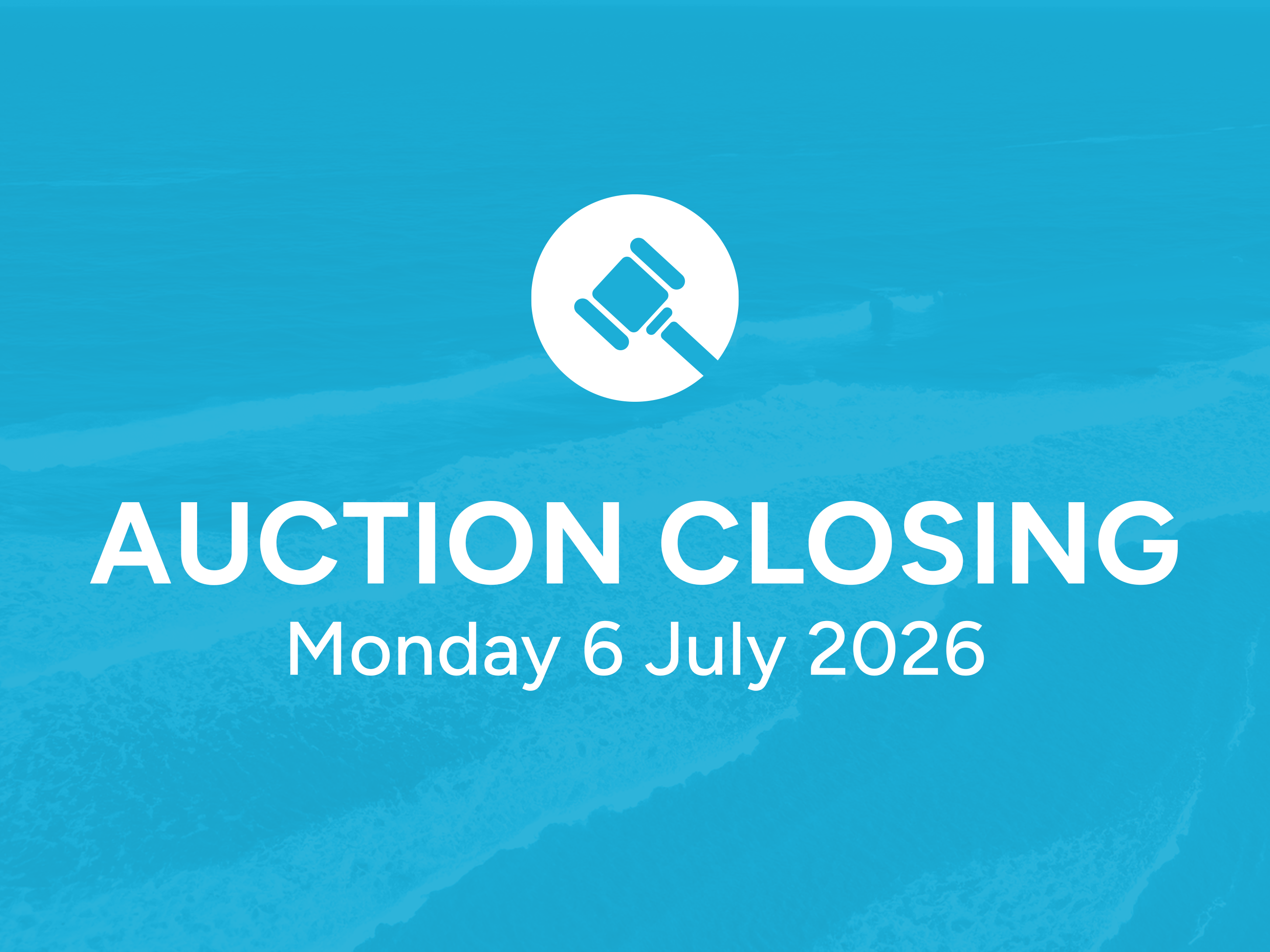 Steel Speedboat Motorboat 960 Photo 4