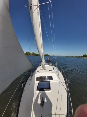 Polyester Zeilboot Sturgeon 28 Foto 5