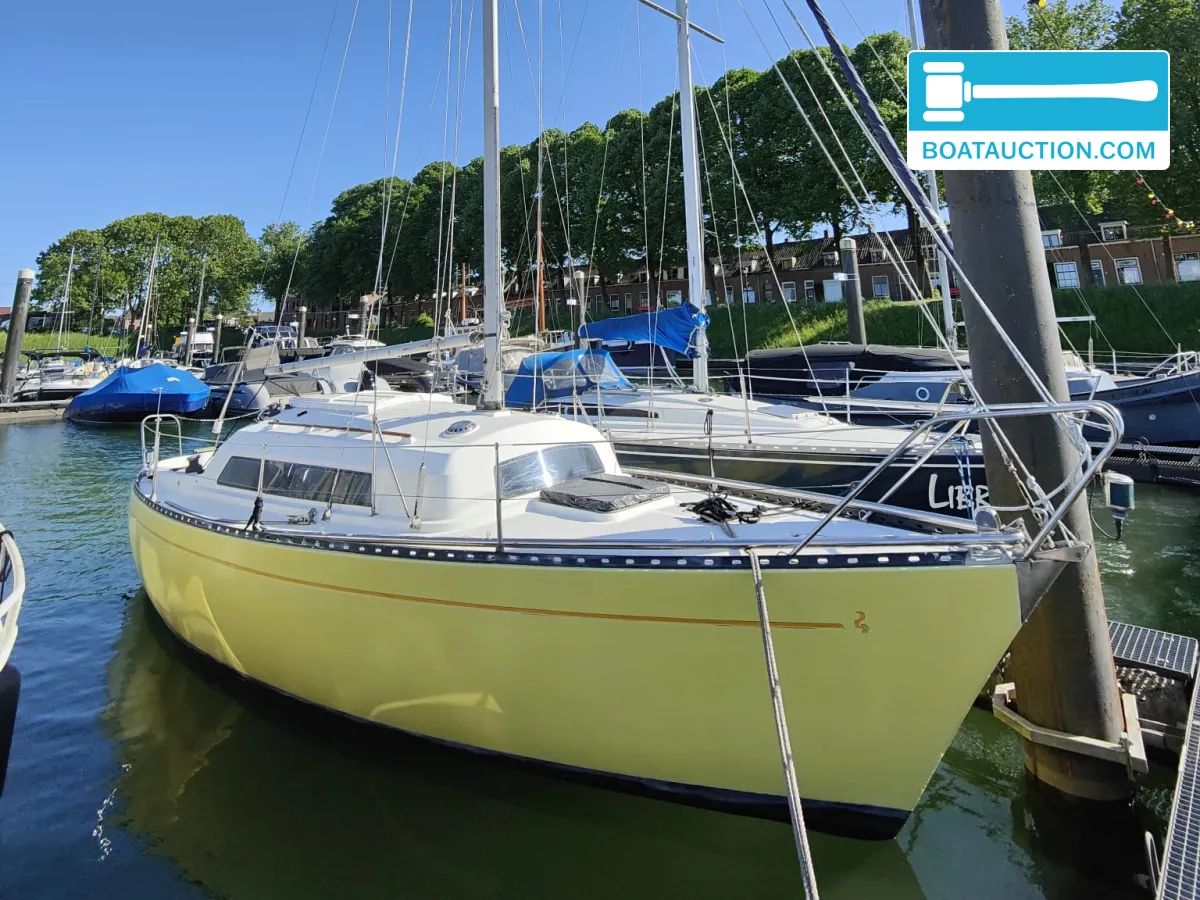 Thumbnail - Sturgeon 28