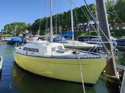 Sturgeon 28