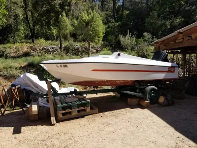 Polyester Speedboat Cormorant Fury 425 Photo 1