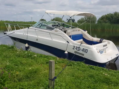 Polyester Speedboot Crownline 250 CR Foto 10