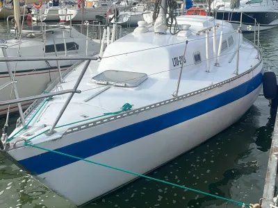 Carter 30