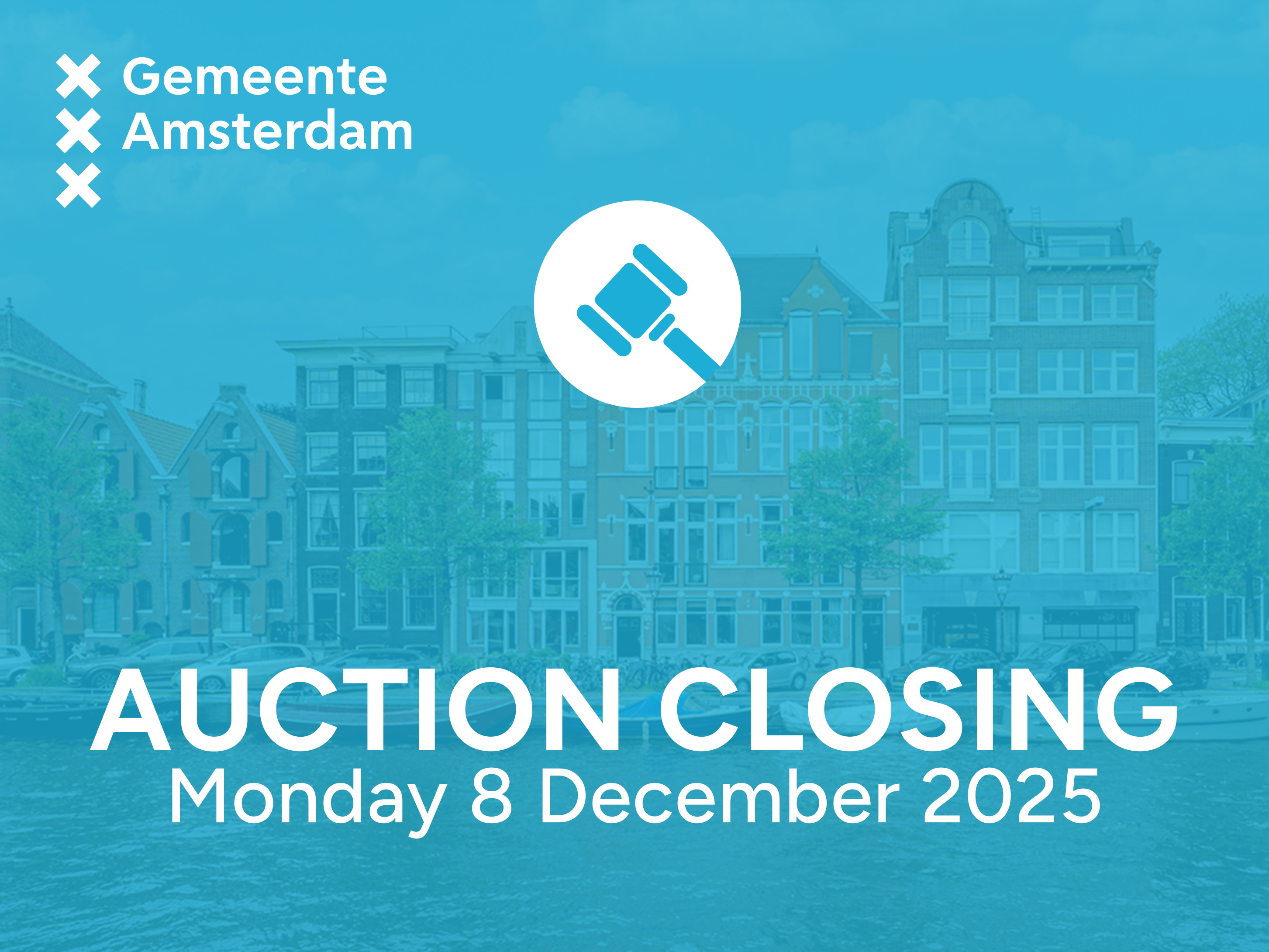 Polyester Bateau économique Motorboat 450 Photo 4