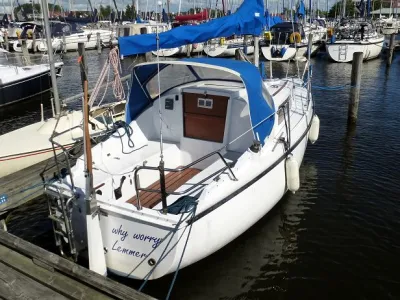 Polyester Sailboat Daimio 24 Photo 1