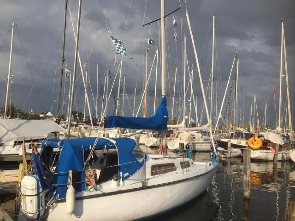 Polyester Sailboat Daimio 24