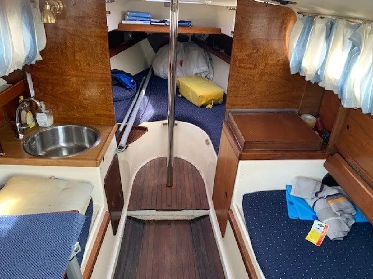 Polyester Sailboat Daimio 24