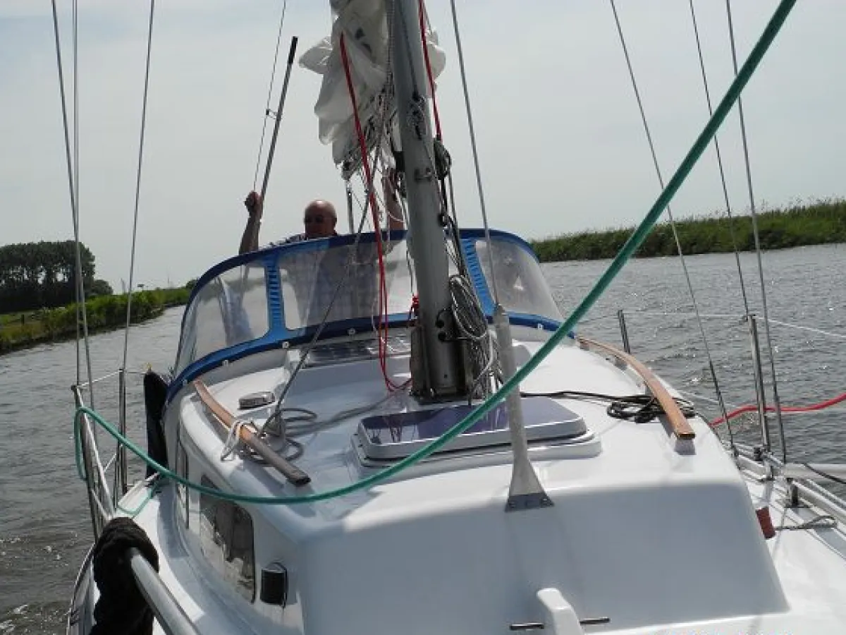 Polyester Sailboat Daimio 24