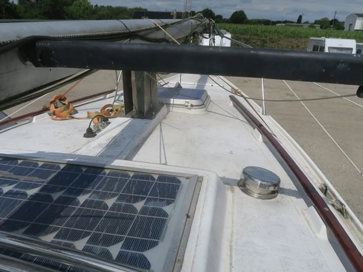 Polyester Sailboat Daimio 24