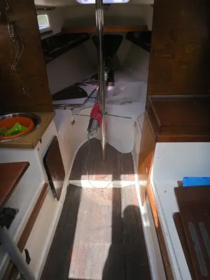 Polyester Sailboat Daimio 24 Photo 14