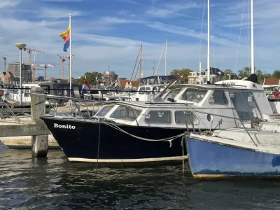 Steel Budgetboat Motorboat 800 Photo 0