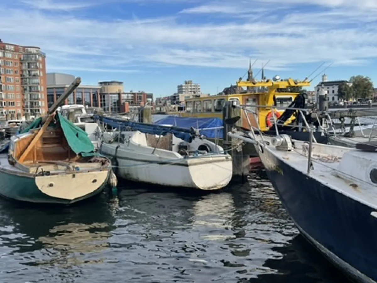 Polyester Budgetboat Cabin sailboat 600