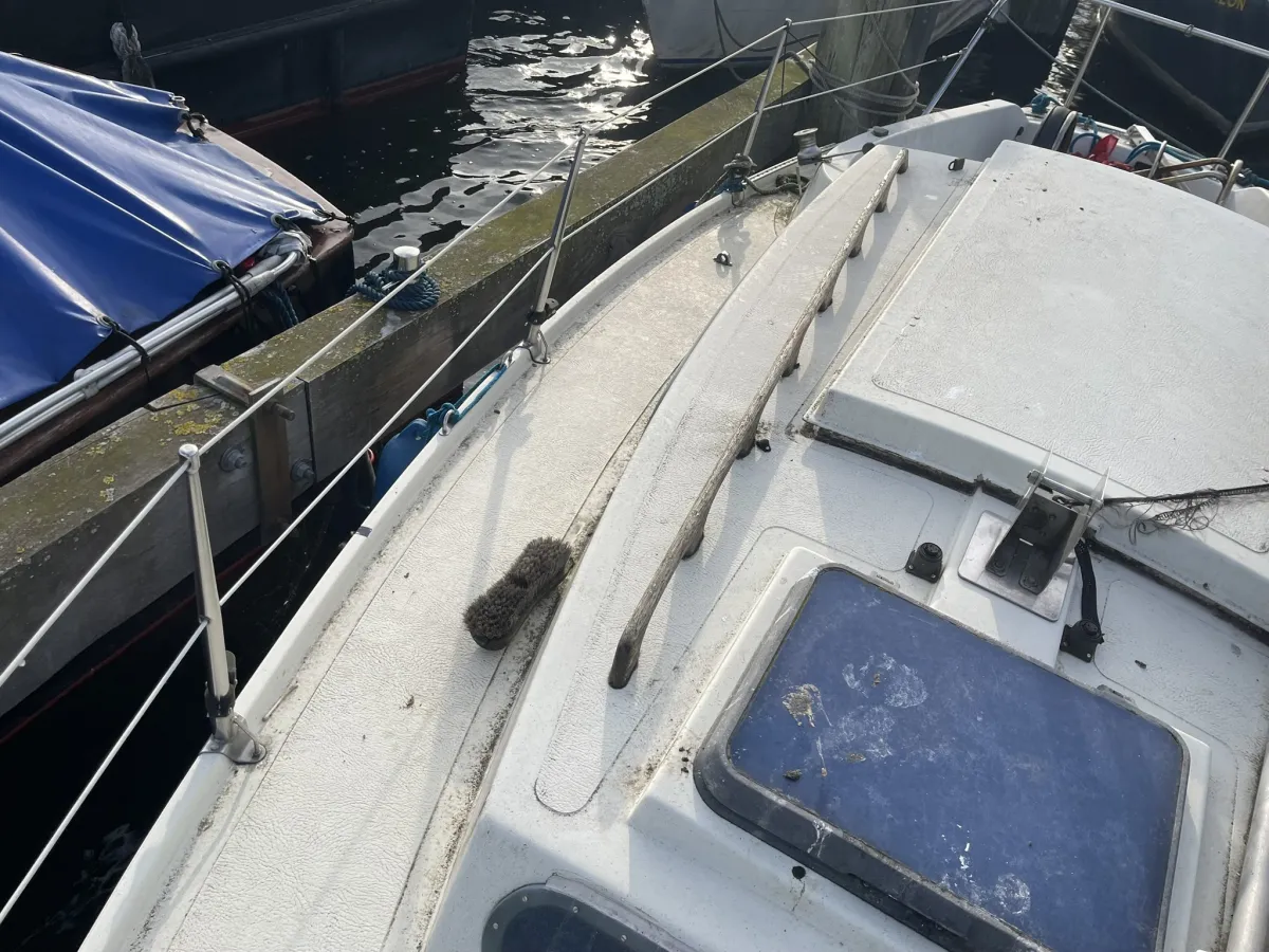 Polyester Budgetboat Cabin sailboat 600