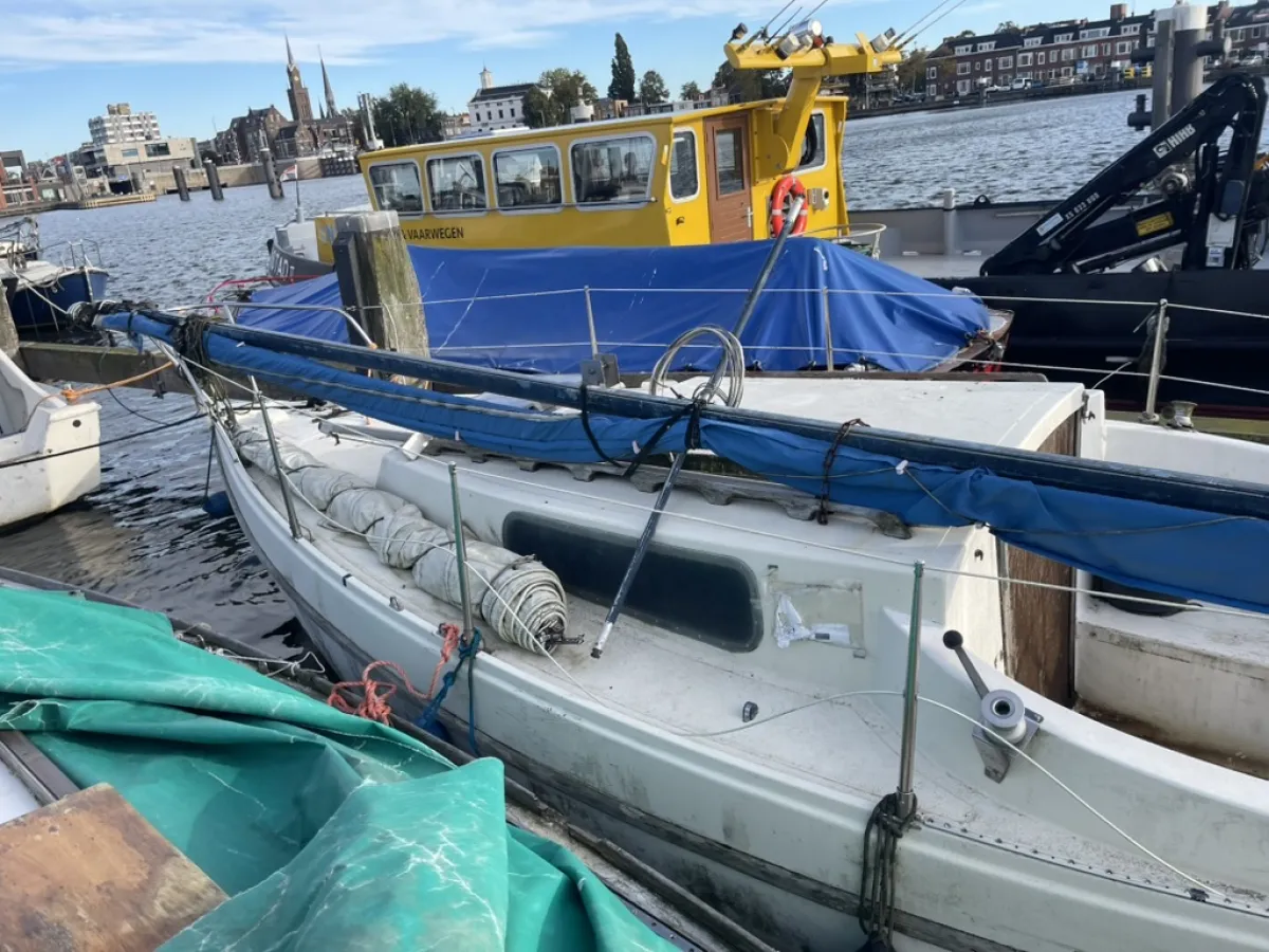 Polyester Budgetboat Cabin sailboat 600