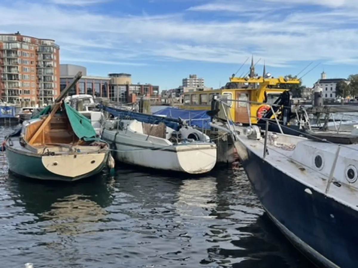 Polyester Budgetboat Cabin sailboat 600