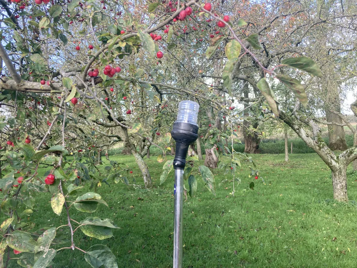 Polyester Open motorboot Astra 130