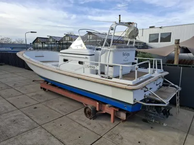 Polyester Motorboot Tecnoyacht Puma 2 Foto 23