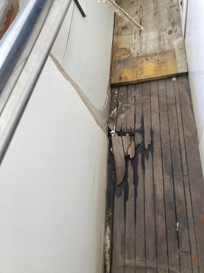 Polyester Motorboat Horizon Elegance 92 Dynasty