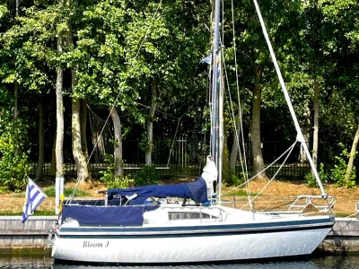 Polyester Zeilboot Piewiet 850 Foto 2