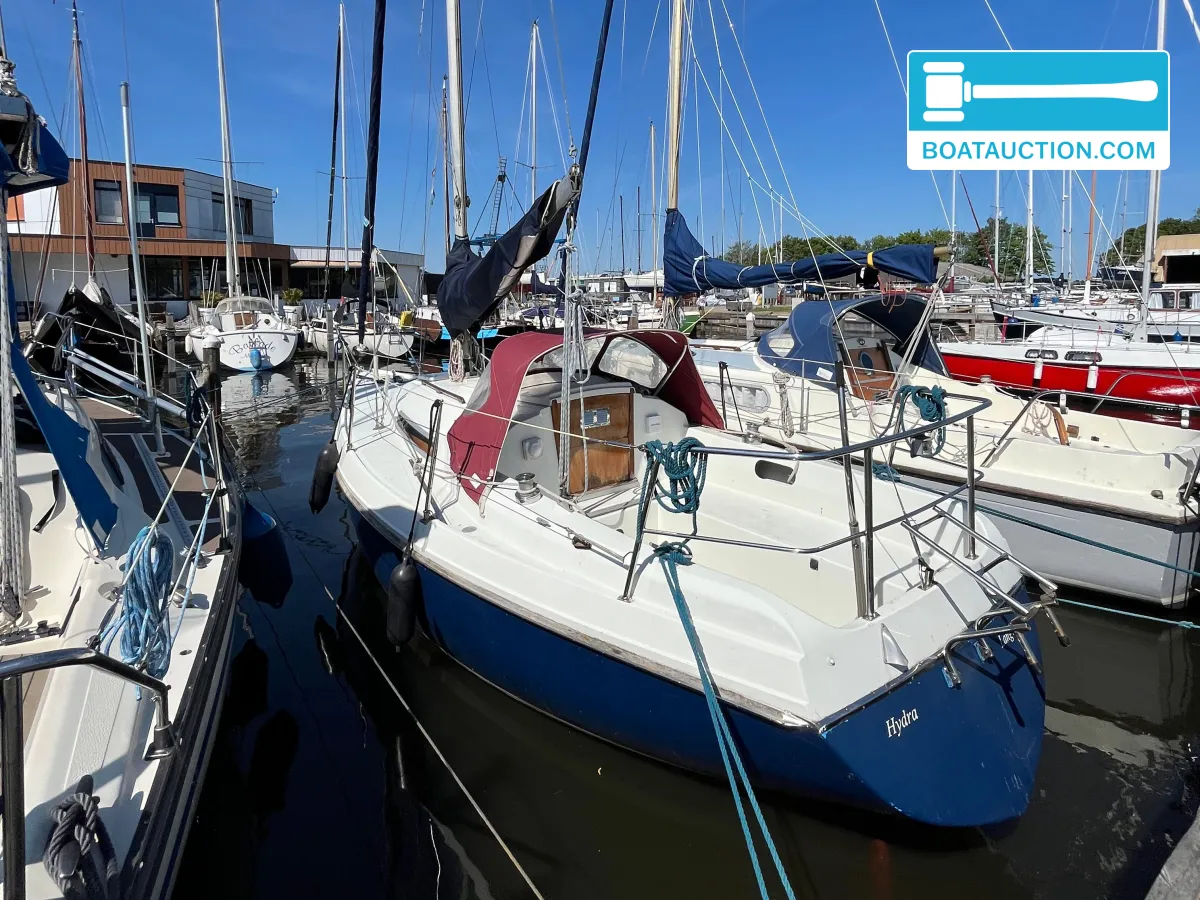 Thumbnail - Contest 25