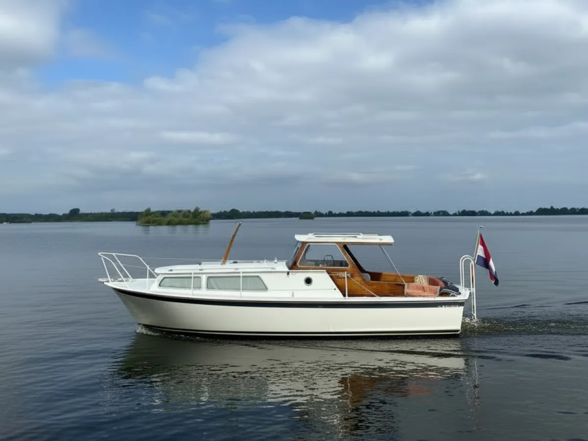 Acier Bateau à moteur De Vries Lentsch 950