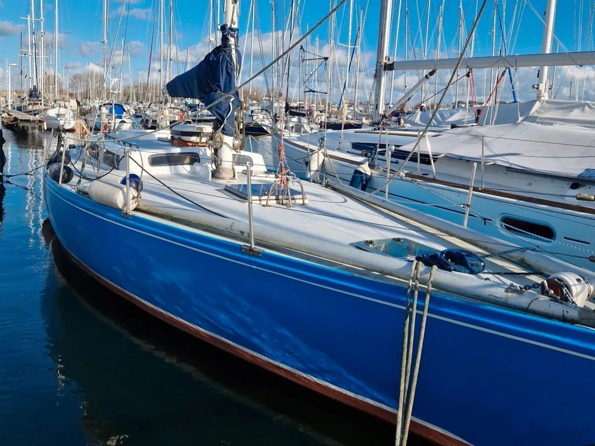 Polyester Voilier Carter 42