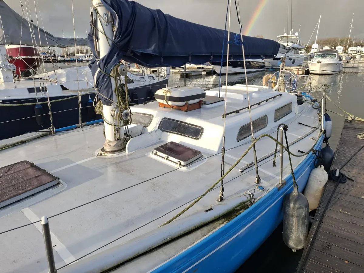 Polyester Voilier Carter 42