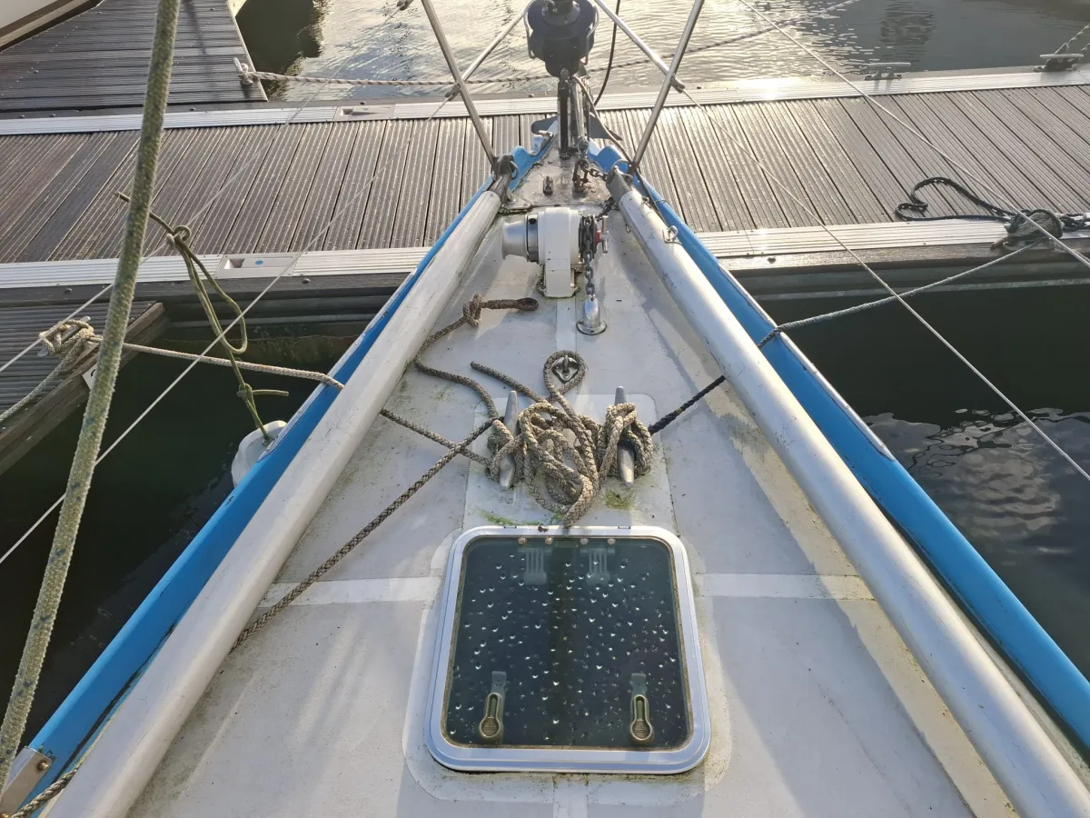 Polyester Voilier Carter 42