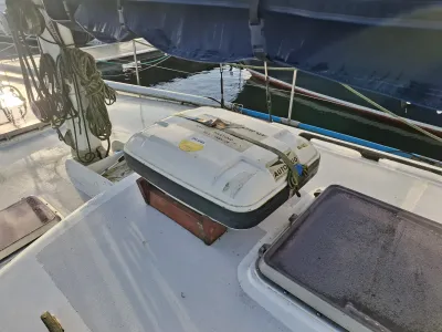 Polyester Voilier Carter 42 Photo 17