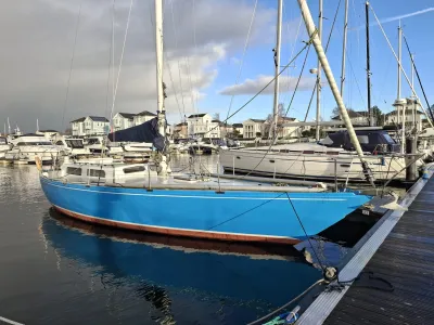 Polyester Voilier Carter 42 Photo 31