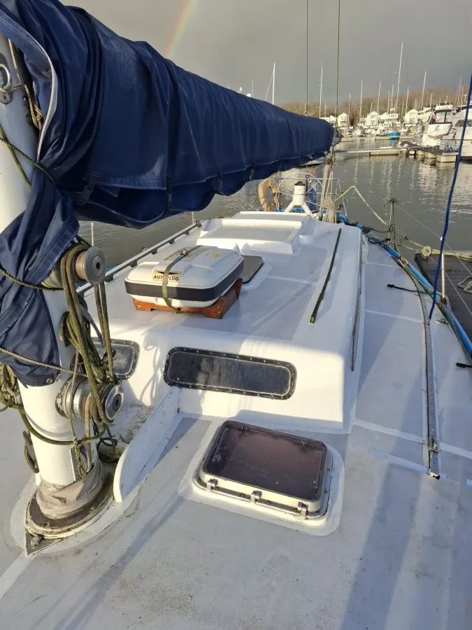 Polyester Voilier Carter 42