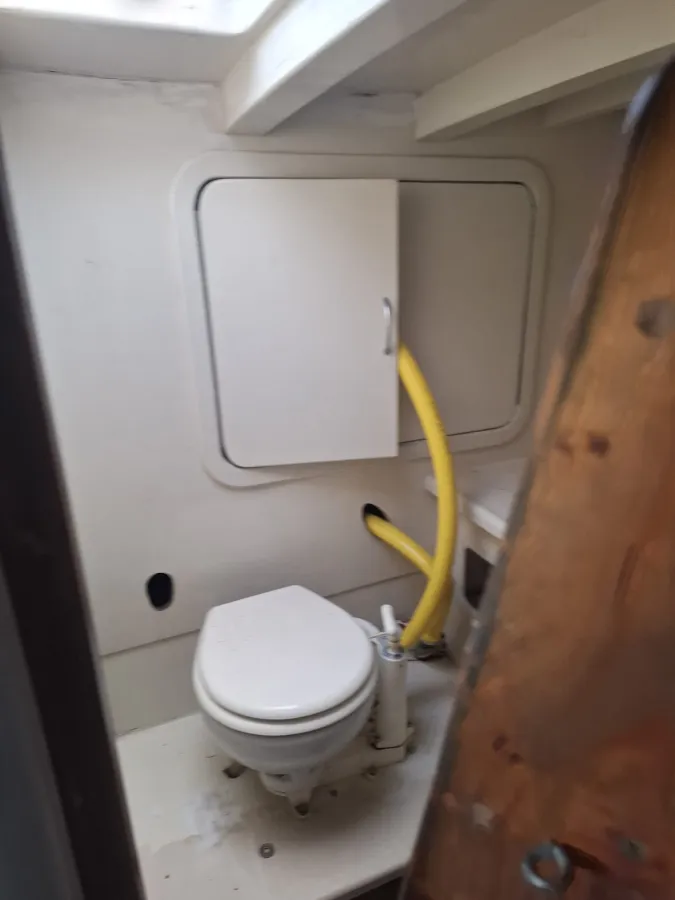 Polyester Voilier Carter 42