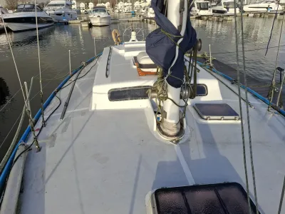 Polyester Voilier Carter 42 Photo 29