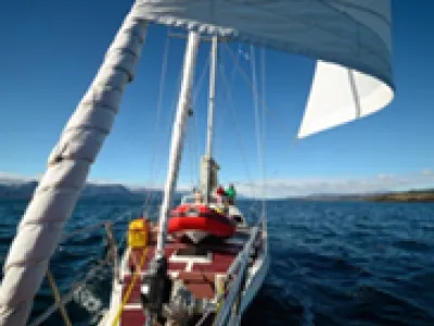 Staal Zeilboot Reinke 1640 Foto 19