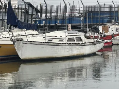Polyester Budgetboat Cabin boat 650 Photo 0