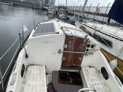 Polyester Budgetboat Cabin boat 650 Photo 6