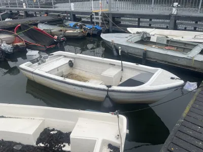 Polyester Bateau économique Motorboat 450 Photo 4