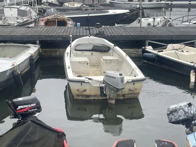 Polyester Bateau économique Motorboat 450 Photo 9