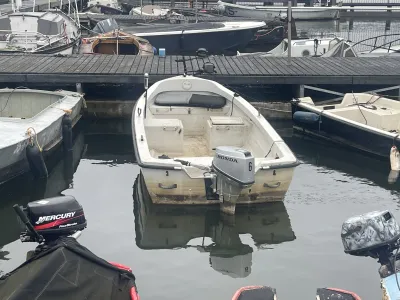 Polyester Bateau économique Motorboat 450 Photo 11