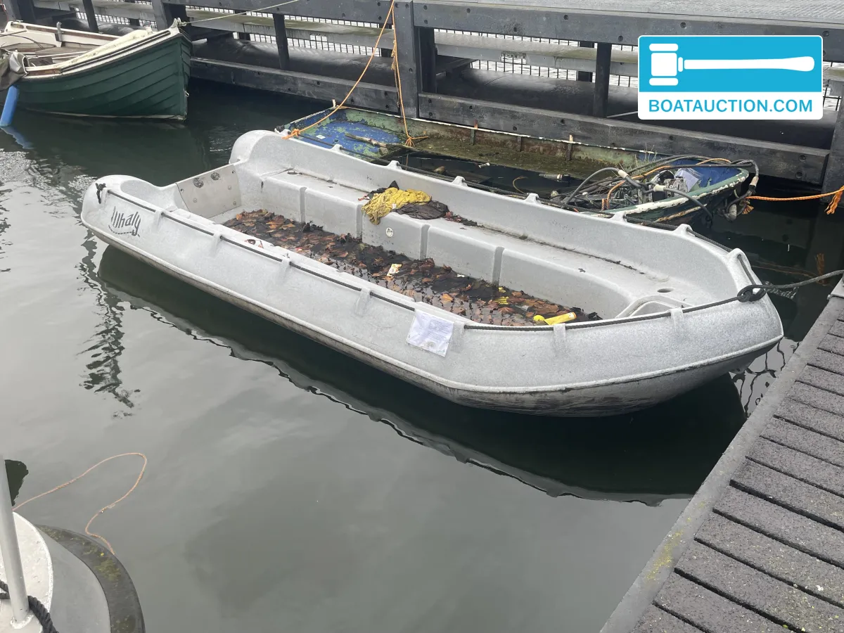 Thumbnail - Whaly 380