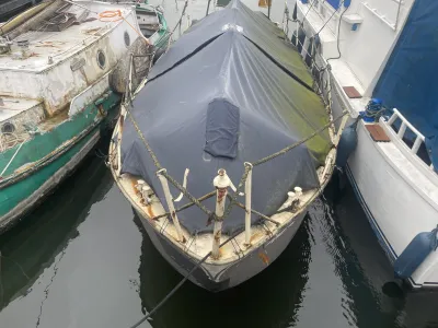 Steel Budgetboat Motorboat 700 Photo 3