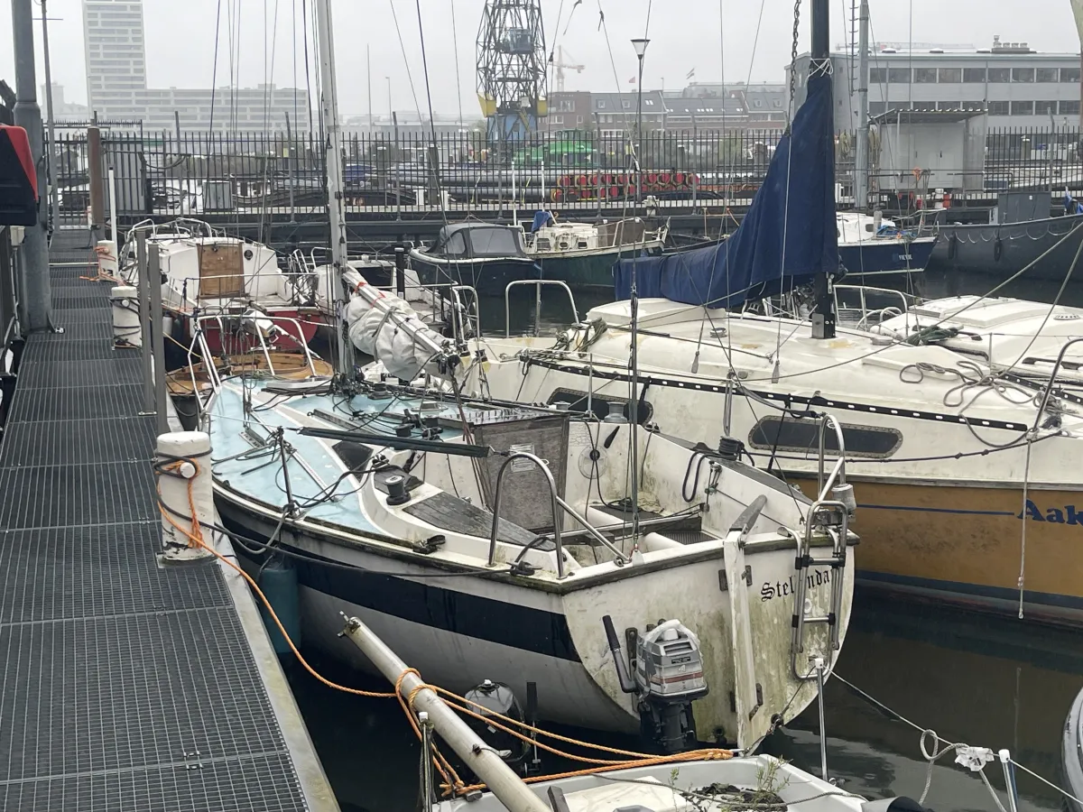 Polyester Budgetboat Cabin sailboat 650