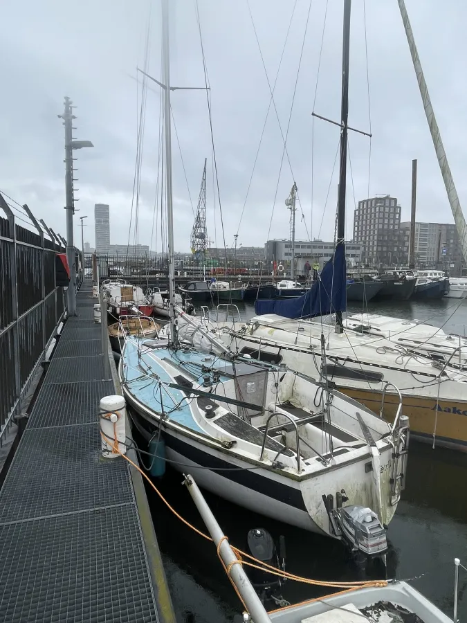 Polyester Budgetboat Cabin sailboat 650