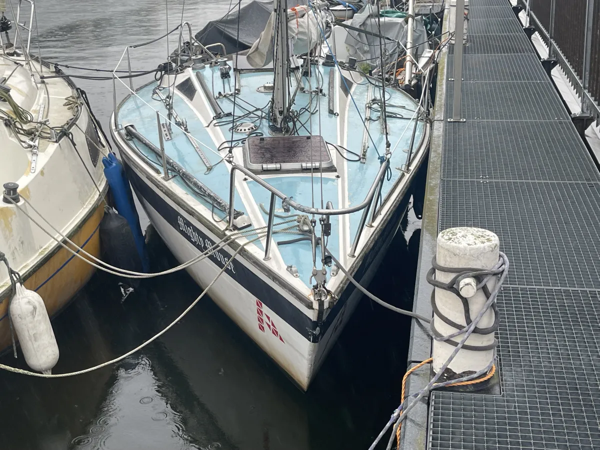 Polyester Budgetboat Cabin sailboat 650