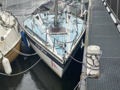 Polyester Budgetboat Cabin sailboat 650 Photo 0