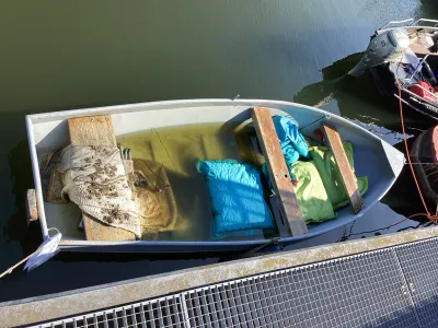 Steel Budgetboat Vlet 400 Photo 1