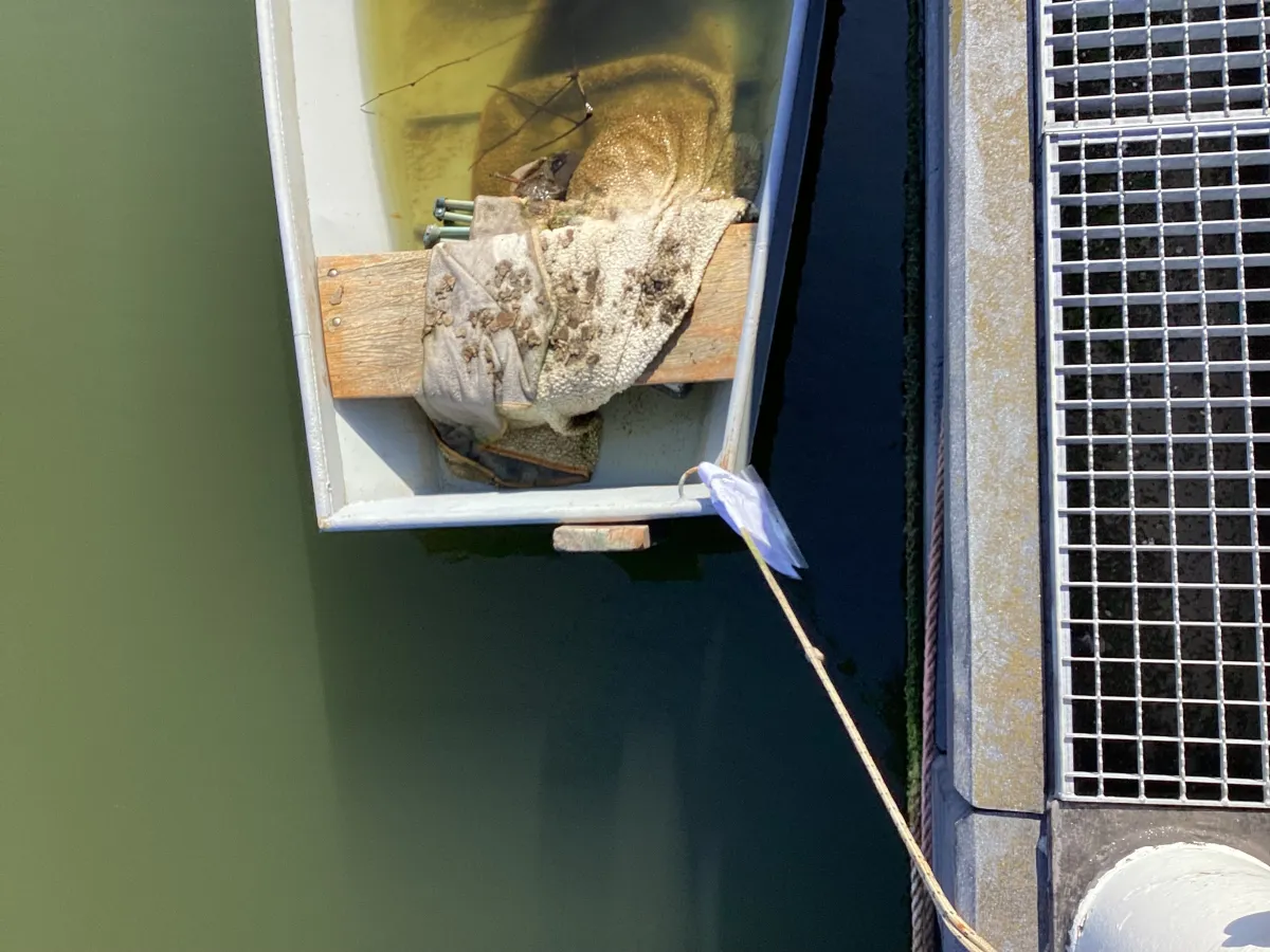 Steel Budgetboat Vlet 400