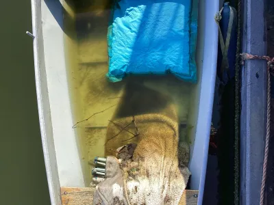 Steel Budgetboat Vlet 400 Photo 3