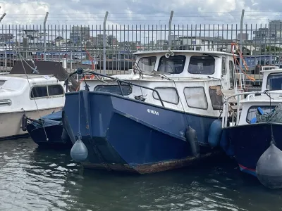 Steel Budgetboat Motorboot 850 Photo 0