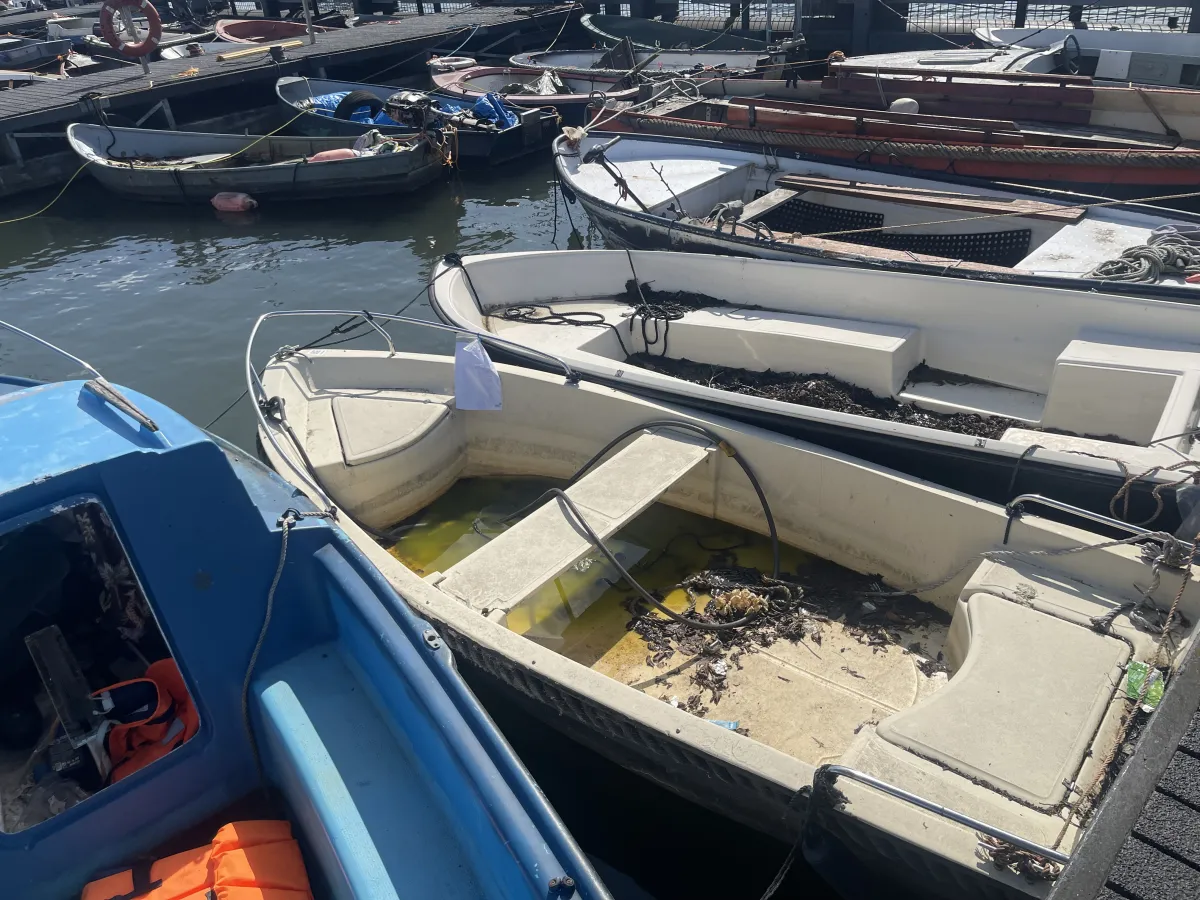 Polyester Budgetboat Roeiboot 300